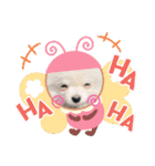 ホワイトポメラニアンのラキちゃん（個別スタンプ：4）
