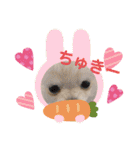 ホワイトポメラニアンのラキちゃん（個別スタンプ：6）