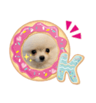 ホワイトポメラニアンのラキちゃん（個別スタンプ：20）