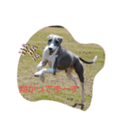 ig-stamp（個別スタンプ：5）