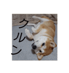 ひなのスタンプ！！！！！（個別スタンプ：5）