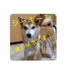 ひなのスタンプ！！！！！（個別スタンプ：18）