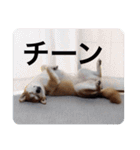 ひなのスタンプ！！！！！（個別スタンプ：22）