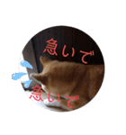ひなのスタンプ！！！！！（個別スタンプ：23）