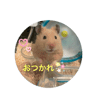 104と206❤（個別スタンプ：2）