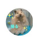 104と206❤（個別スタンプ：3）