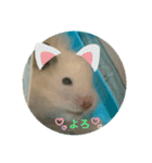 104と206❤（個別スタンプ：9）