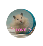 104と206❤（個別スタンプ：11）