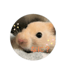 104と206❤（個別スタンプ：14）