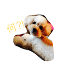 ひめちゃんとるるちゃんのスタンプだよ。（個別スタンプ：3）