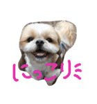 ひめちゃんとるるちゃんのスタンプだよ。（個別スタンプ：5）