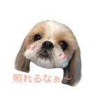 ひめちゃんとるるちゃんのスタンプだよ。（個別スタンプ：11）