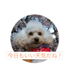ひめちゃんとるるちゃんのスタンプだよ。（個別スタンプ：12）