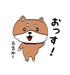 愛犬ネムのものがたり（個別スタンプ：1）