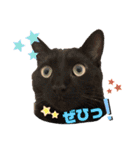 ポンポンコムギの日常1（個別スタンプ：16）