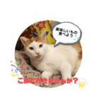 ポンポンコムギの日常1（個別スタンプ：38）