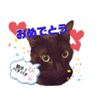 ポンポンコムギの日常1（個別スタンプ：40）