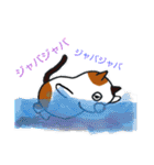 こんぺいとうねこ 部活編（個別スタンプ：1）