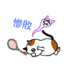 こんぺいとうねこ 部活編（個別スタンプ：20）