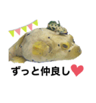 フグと時々熱帯魚✧︎*。（個別スタンプ：5）