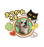 チワックス虎龍a（個別スタンプ：1）
