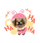 チワックス虎龍a（個別スタンプ：4）