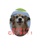 チワックス虎龍a（個別スタンプ：7）