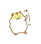 ハムスターのはじめちゃん（個別スタンプ：1）