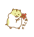 ハムスターのはじめちゃん（個別スタンプ：3）