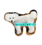 我が家の白プーちゃん（個別スタンプ：11）