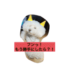 我が家の白プーちゃん（個別スタンプ：18）
