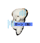 我が家の白プーちゃん（個別スタンプ：22）