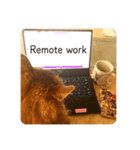 きららstay home（個別スタンプ：2）
