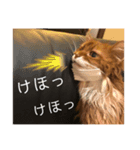 きららstay home（個別スタンプ：4）