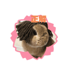うさぎのあいと（個別スタンプ：4）