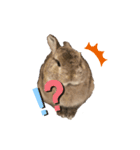 うさぎのあいと（個別スタンプ：6）