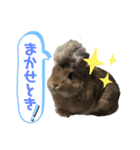 うさぎのあいと（個別スタンプ：7）