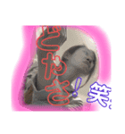 とびきりの一言（個別スタンプ：3）