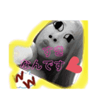 とびきりの一言（個別スタンプ：7）