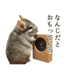 チンチラのみそちゃん（個別スタンプ：23）