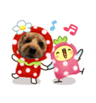 トイプーもこの日常（個別スタンプ：5）