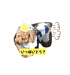 トイプーもこの日常（個別スタンプ：11）