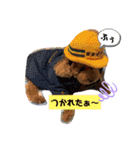トイプーもこの日常（個別スタンプ：22）