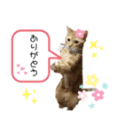 わたしベル（個別スタンプ：3）