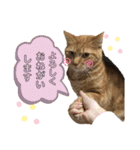 わたしベル（個別スタンプ：4）