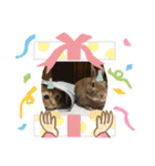 わたしベル（個別スタンプ：6）