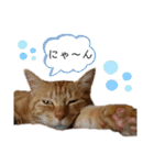 わたしベル（個別スタンプ：9）