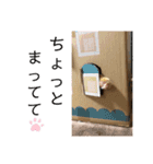 わたしベル（個別スタンプ：11）
