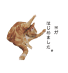 わたしベル（個別スタンプ：13）