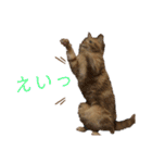 わたしベル（個別スタンプ：16）
